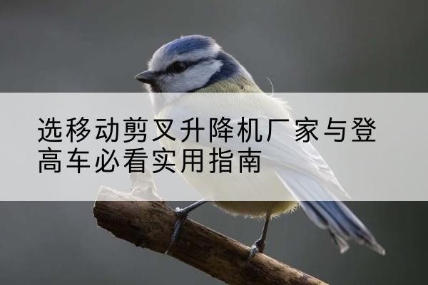 望花电动升降机厂家-选移动剪叉升降机厂家与登高车必看实用指南