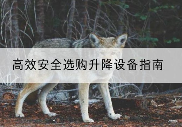 望花升降货梯厂家推荐-*安全选购升降设备指南